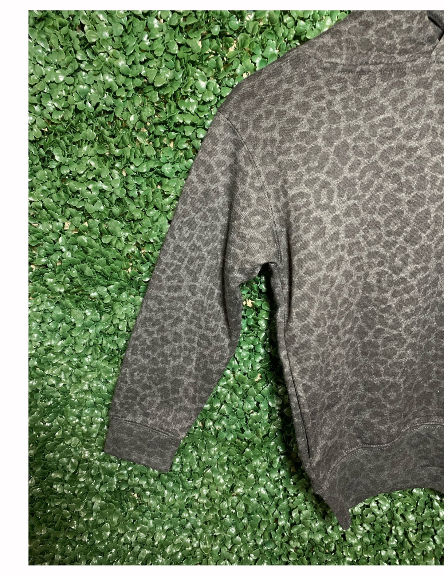 Mini Sweatshirt (Youth)