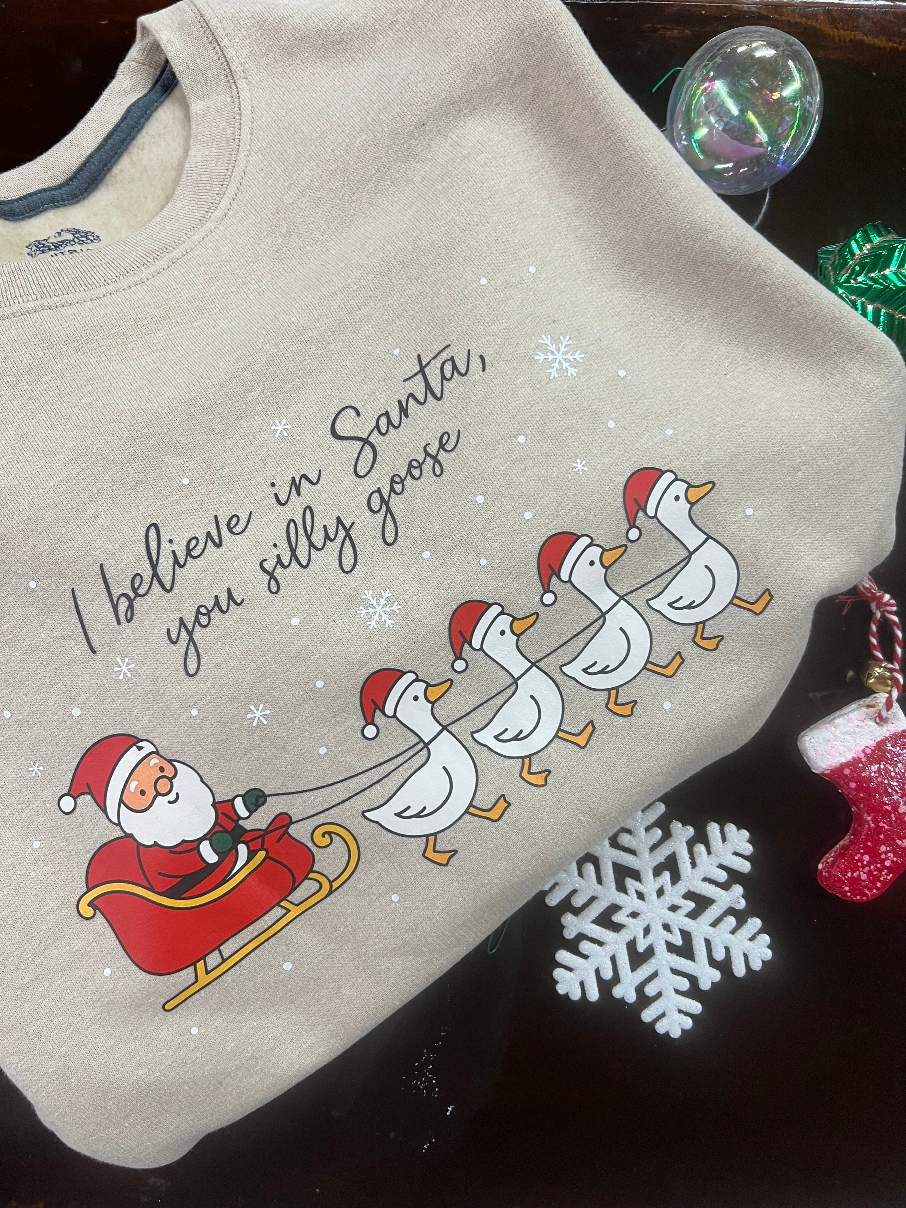I Believe In Santa You Silly Goose Design