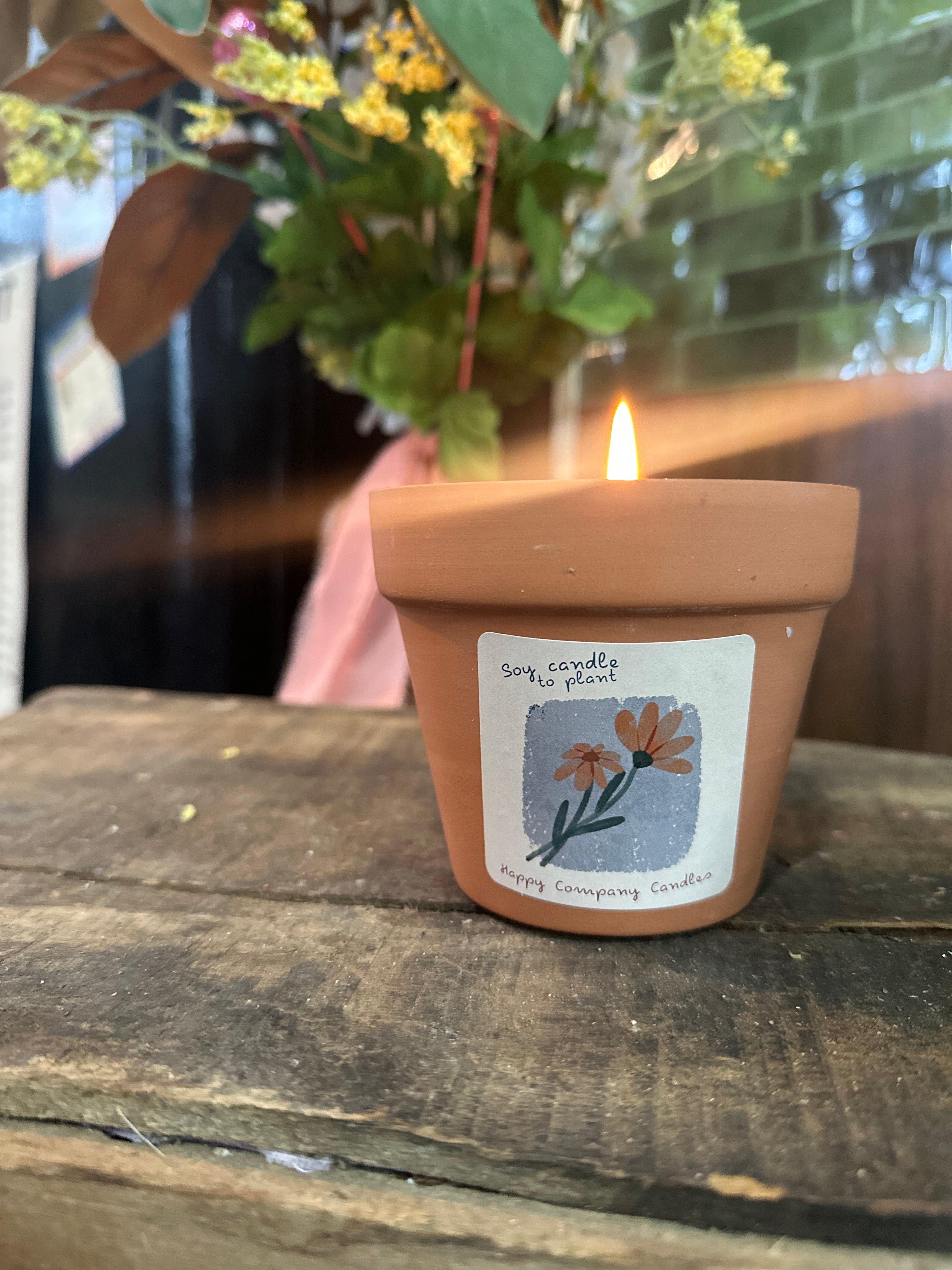 candle to plant pot Candle to Planter – Happy Company Candles