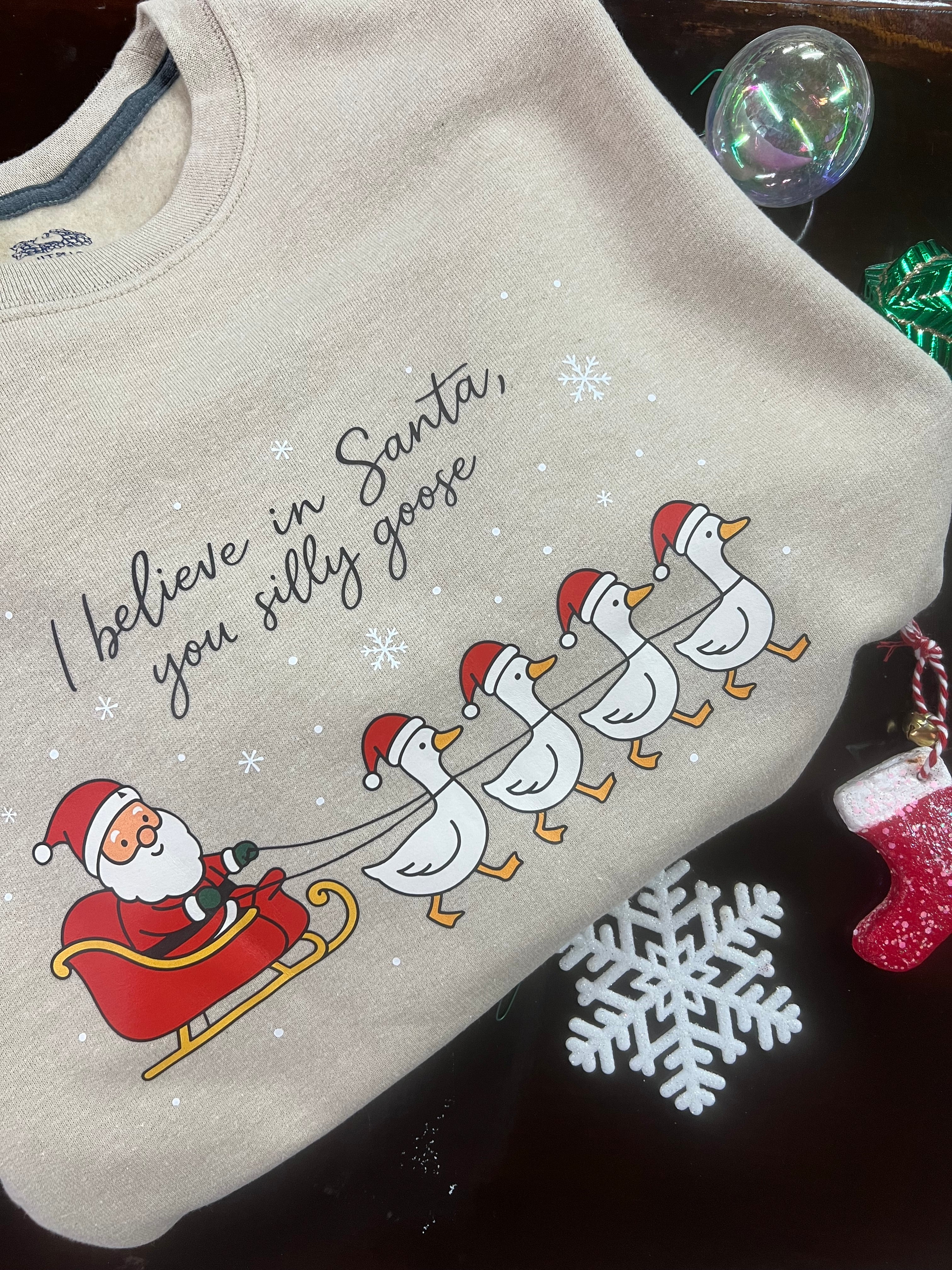 I Believe In Santa You Silly Goose Design