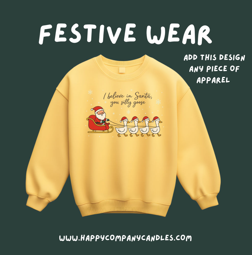 I Believe In Santa You Silly Goose Design